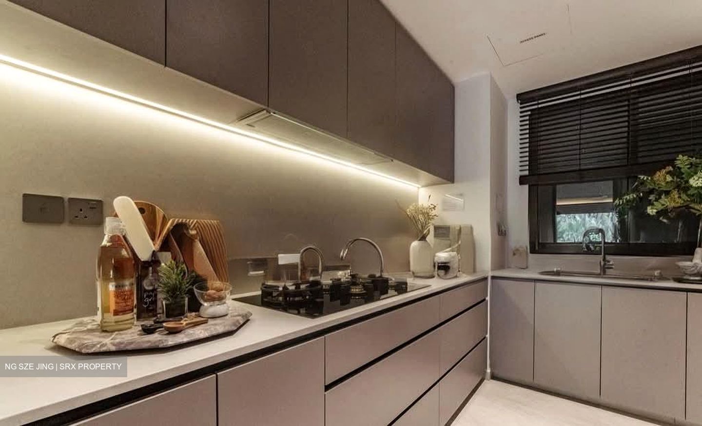 Pasir Panjang Road (D5), Condominium #579703271